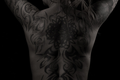 NZ6_2976-web